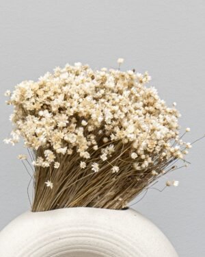 Marcela Naturell - Torkade Blommor - Bild 5