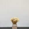 Marcela Naturell - Torkade Blommor