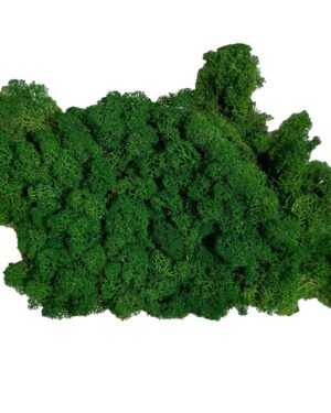 Runda mosstavla - Grön bollmossa & Lichen mossa - Bild 14