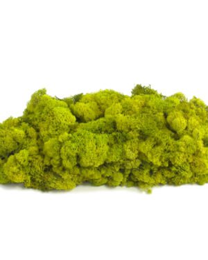 Runda mosstavla - Grön bollmossa & Lichen mossa - Bild 16