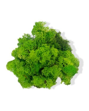 Runda mosstavla - Grön bollmossa & Lichen mossa - Bild 15