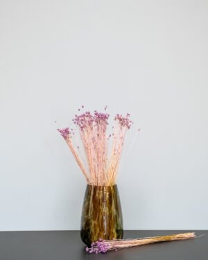 Jazilda - Torkade Blommor 23 jazilda lila