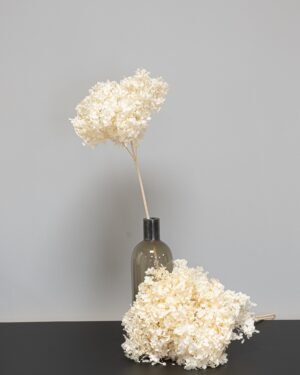Eksklusiv Konserverad Hortensia Lång – Naturtrogen Skönhet (60 cm) - Bild 6