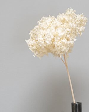 Eksklusiv Konserverad Hortensia Lång – Naturtrogen Skönhet (60 cm) - Bild 3