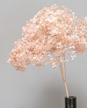 Eksklusiv Konserverad Hortensia Lång – Naturtrogen Skönhet (60 cm) - Bild 7