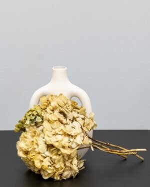 Hortensia Standard - Konserverade Blommor - Bild 7