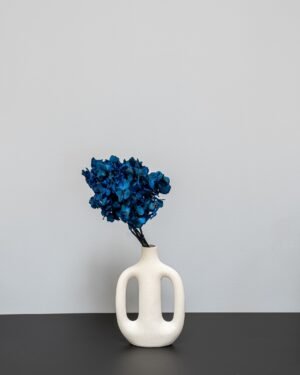 Hortensia Standard - Konserverade Blommor - Bild 9