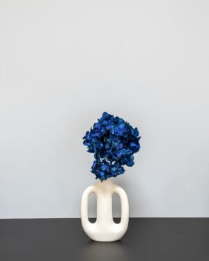 Hortensia Standard - Konserverade Blommor - Bild 8
