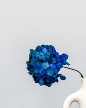 Hortensia Standard - Konserverade Blommor - Bild 10