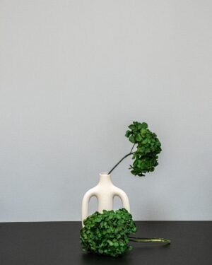 Hortensia Standard - Konserverade Blommor - Bild 3