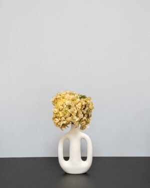 Hortensia Standard - Konserverade Blommor - Bild 5
