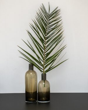 Phoenix Palm Grön - Konserverade Växter 10 Phoenix Palm