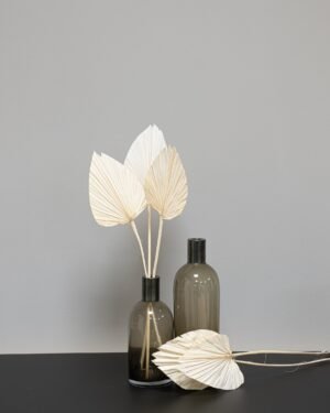 Palm 3 st.- Torkade Blommor - Bild 5