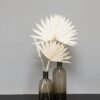 Palm Sun Blekt Vit