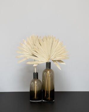 Palm 3 st.- Torkade Blommor - Bild 6