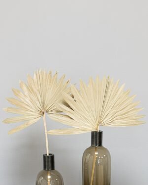 Palm 3 st.- Torkade Blommor - Bild 7