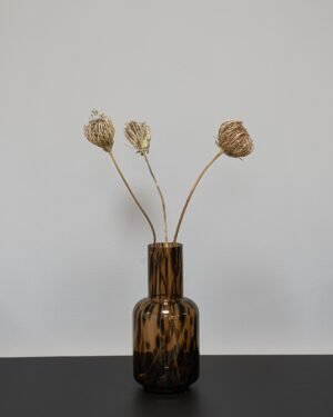 Ammi majus 5 st.- Slöjsilja - Torkade Blommor - Bild 9