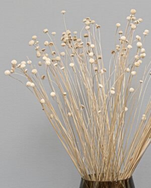 Botao - Torkade Blommor - Bild 7
