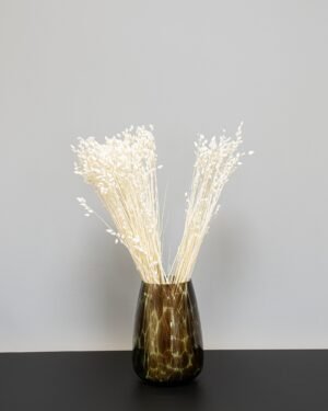 Briza - Torkade Blommor - Bild 6