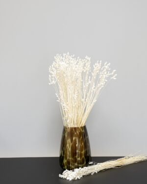 Briza - Torkade Blommor - Bild 7