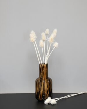 Cardoon Thistle - Torkade Blommor - Bild 5