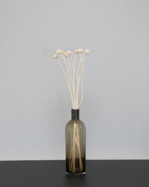 Craspedia/Solboll 10 st.- Torkade Blommor - Bild 6