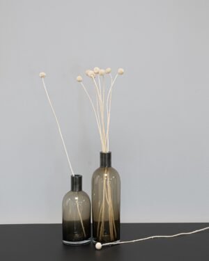 Craspedia/Solboll 10 st.- Torkade Blommor - Bild 9