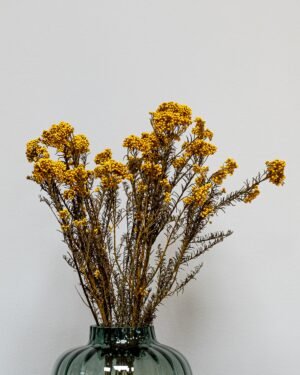 Diosmi Naturell - Konserverade Blommor 10 Diosmi Naturell - Konserverade Blommor - Bild 5
