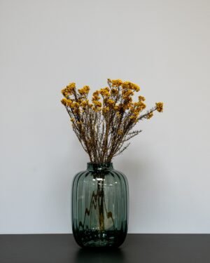 Diosmi Naturell - Konserverade Blommor 8 Diosmi gul