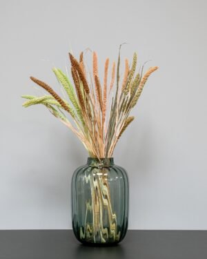 Durrasläktet, Sorghum  Torkade Blommor - Bild 3