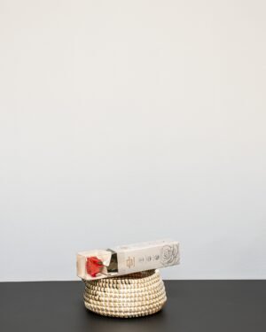 Evighetsros - 25 cm - Bild 5