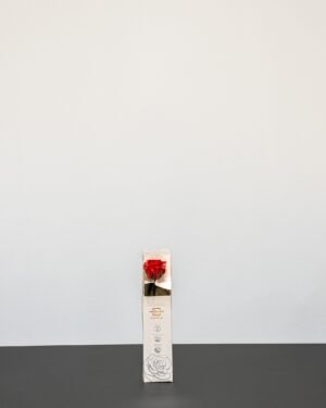 Alternative view of Evighetsros - 25 cm