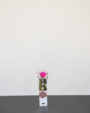 Evighetsros - 25 cm - Bild 3