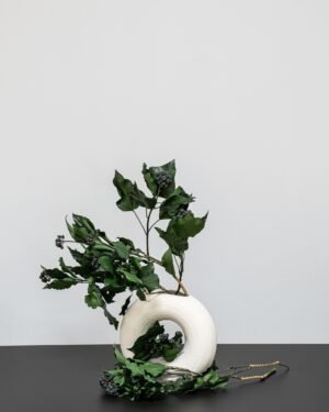 Murreva Ivy - Konserverade Växter - Bild 6