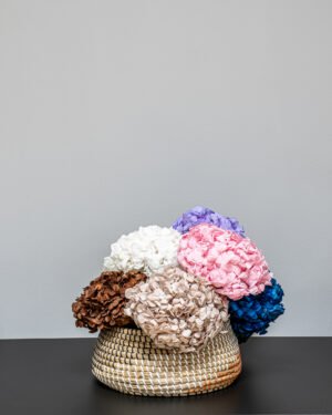 Premium Hortensia - Konserverade Blommor 16 Premium Hortensia