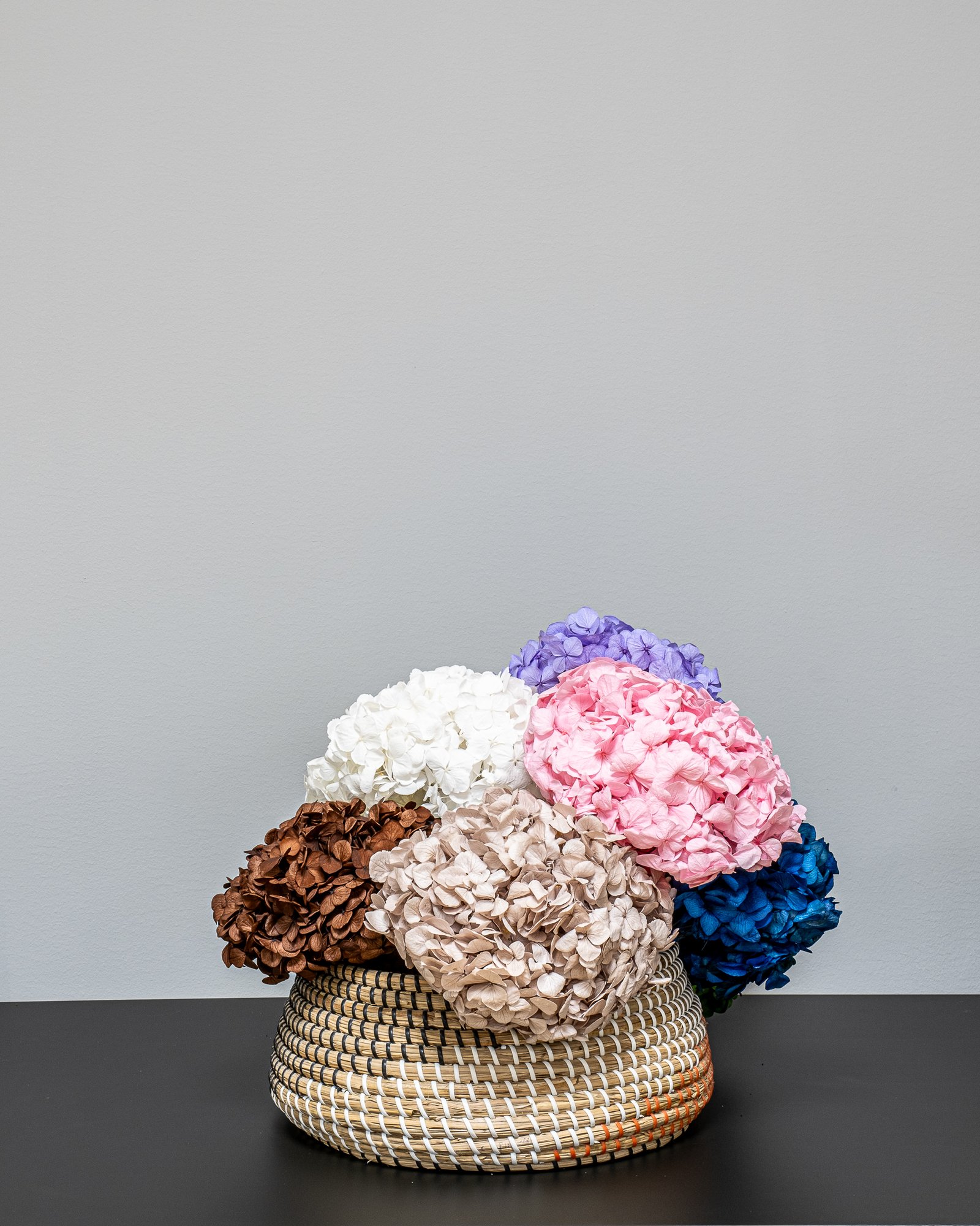 Premium Hortensia - Konserverade Blommor 3 Premium Hortensia