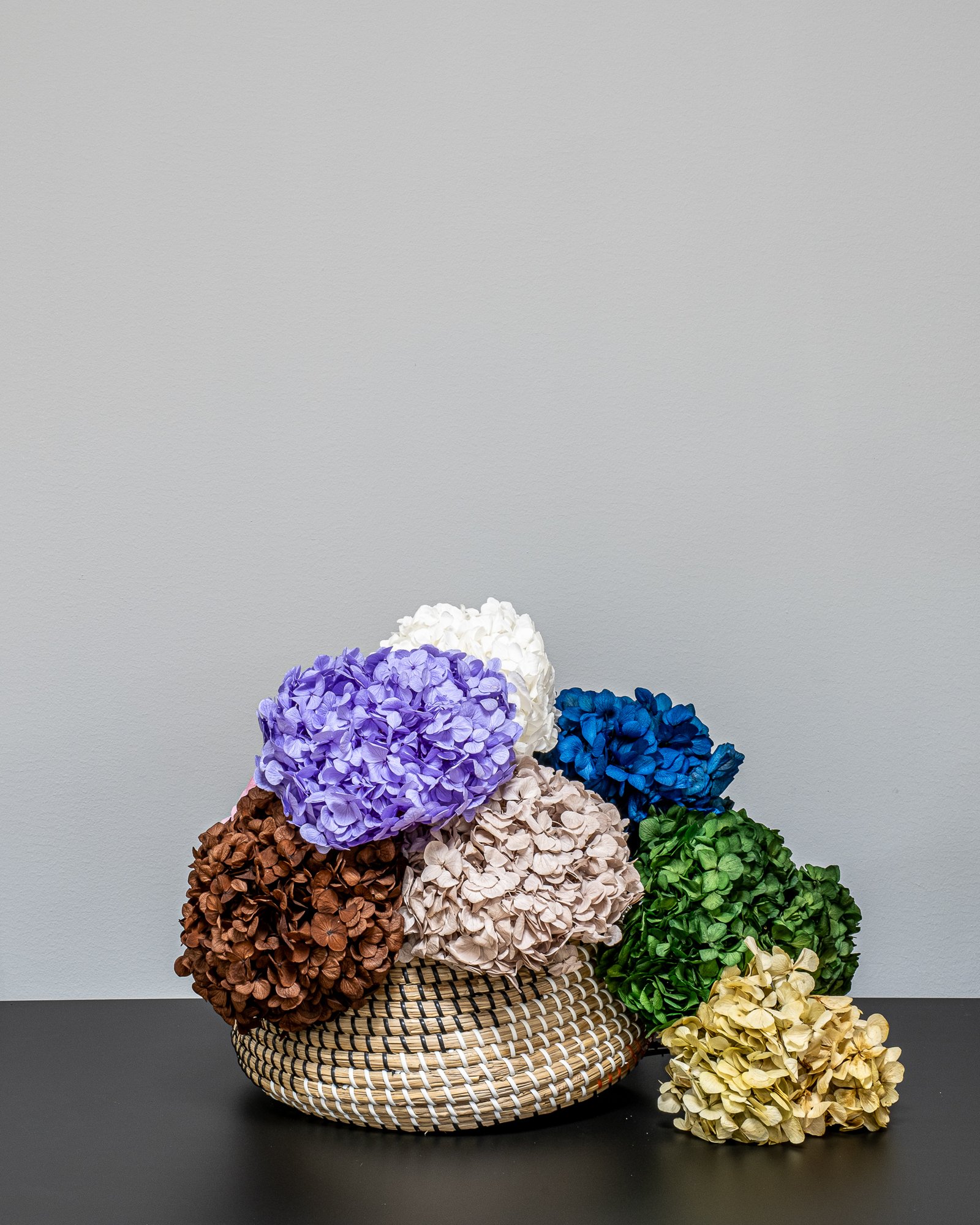 Premium Hortensia - Konserverade Blommor 1 Premium Hortensia