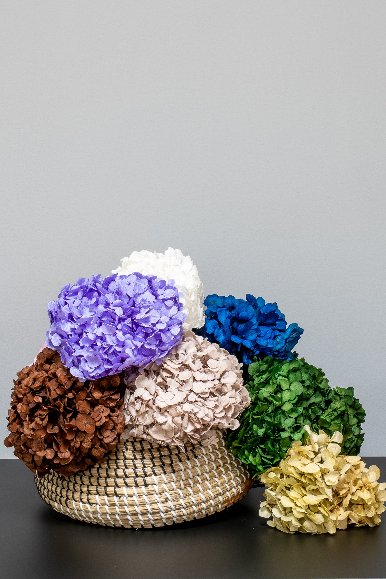 Premium Hortensia - Konserverade Blommor 2 Premium Hortensia