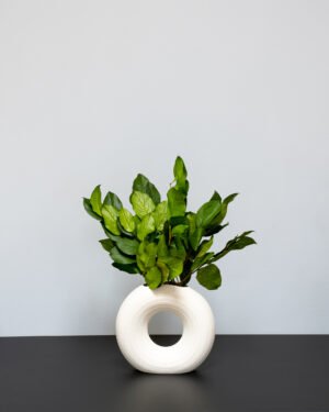 Vaktelbär Salal - Konserverade Växter - Bild 3