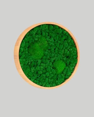 Runda mosstavla - Grön bollmossa & Lichen mossa - Bild 4