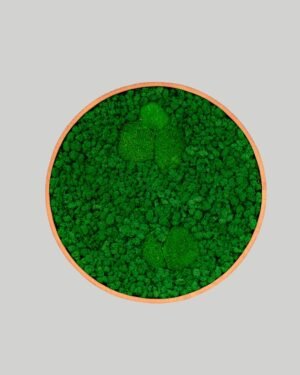 Runda mosstavla - Grön bollmossa & Lichen mossa - Bild 9
