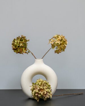 Hortensia Naturell 3 st. – Torkade Blommor - Bild 2