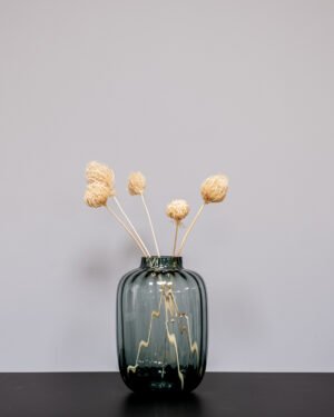 Ammi majus 5 st.- Slöjsilja - Torkade Blommor - Bild 4