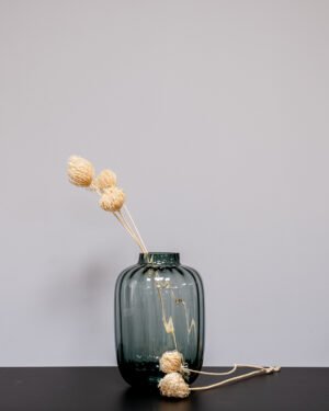 Ammi majus 5 st.- Slöjsilja - Torkade Blommor - Bild 6