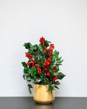 Krukväxt konserverade Ivy Ruberia röd - Bild 4