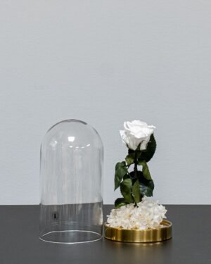 Roskupa - Evighetsrosor och konserverade hortensior - Bild 9