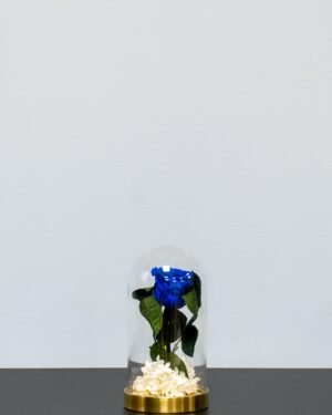 Roskupa - Evighetsrosor och konserverade hortensior - Bild 15
