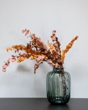 Eucalyptus Stuartiana - Konserverade Växter - Bild 5