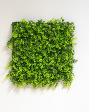 Konstgjord växtvägg Eukalyptus 50x50 cm UV 7 Konstgjord växtvägg Eukalyptus 50x50 cm UV - Bild 3