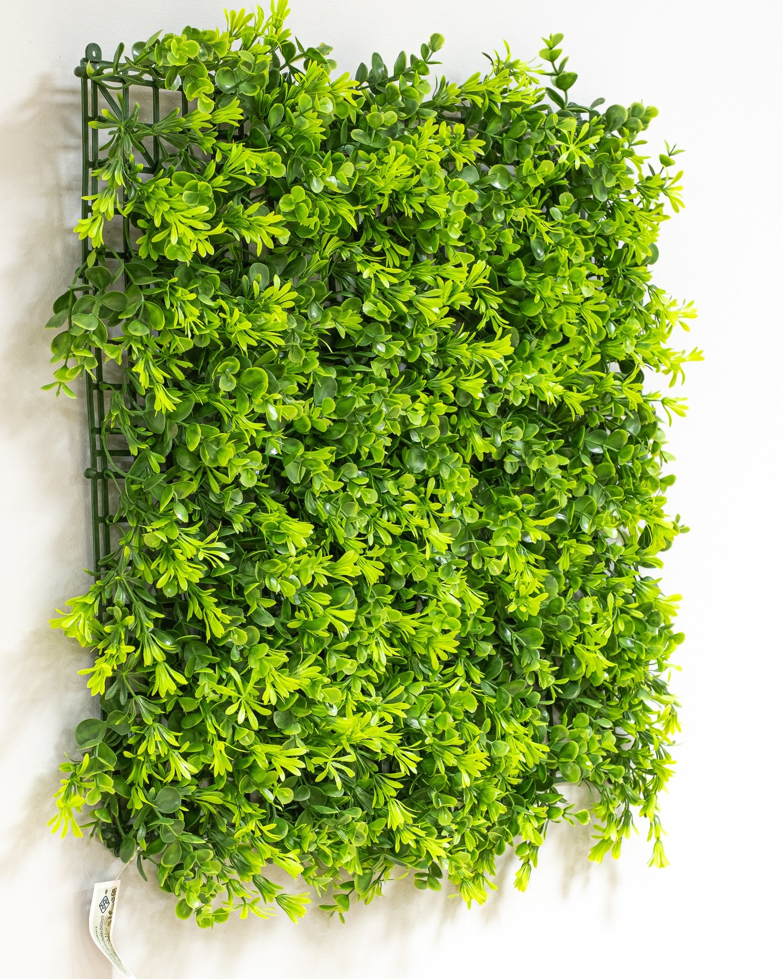Konstgjord växtvägg Eukalyptus 50x50 cm UV 2 Konstgjord växtvägg Eukalyptus 50x50 cm UV - Bild 2